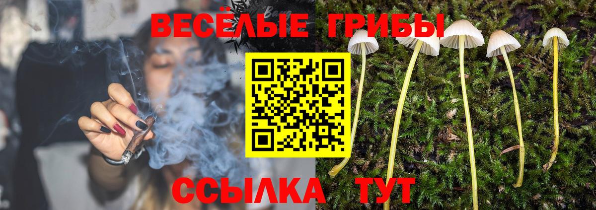 Галлюциногенные грибы мицелий Мценск